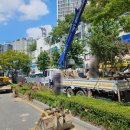 (주)수목조경 이미지