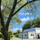 창원농장2 이미지