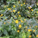 서검낚시터 이미지