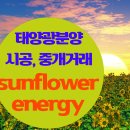 자연에너지3 태양광발전소 이미지