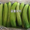 버섯, 열무 , 공품오이, 돌갓, 얼갈이, 고구마, 적겨자잎 심부름 해 드립니다. 이미지