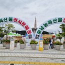 한빛기업 | 대전 한빛탑 &lt;2025 푸드앤맥주 페스타&gt; 방문 후기