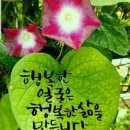 🌿7월22일(목) 오늘을 한눈에~🌿 이미지