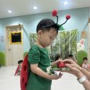 오감- 무당벌레와 놀아요🐞❤️ 이미지