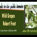 9. Wild Grapes / New Hampshire(1923) - Robert Frost 이미지