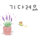 노아즈팟