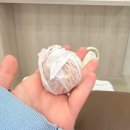 포레스타 | 산본 두피관리 도노포레스타 두피케어 산본점 후기