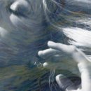 준베스트 이미지