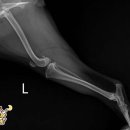 대흥동물병원 이미지