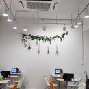 화천하 | [춘천육림고개맛집/춘천비건맛집추천/내돈내산후기]어쩌다 농부