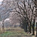 침벽공원 이미지