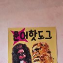 도그에이드 이미지