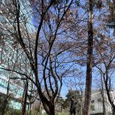 반크 청년공공외교대사 12기 (1)