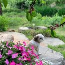 나나펜션 이미지