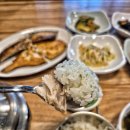 대전 유성구 생선구이 맛집 더도담 방문 후기｜솥밥까지 완벽한 한 끼!