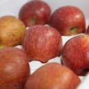 푸쉬푸쉬 이미지