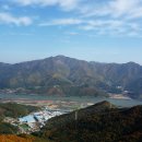 하사촌1 이미지