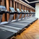 mk휘트니스 이미지