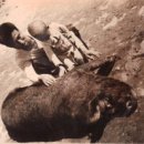 하송농장 이미지