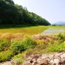 원주토지공인중개사사무소 이미지