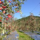 잠실농장 이미지