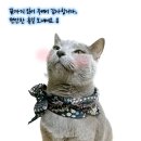 약선경희한의원 이미지