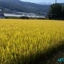 창리정미소 이미지