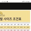 암벽화 사이즈 추천(오타키40 -인스팅41) 이미지