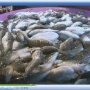 회진시장 이미지