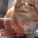백천 이미지