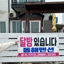 경주 감포 신라의달밤 포차거리 &#39;다보탑&#39; 감포바다한상 후기