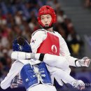 올림픽태권도 이미지