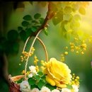 나트랑/달랏 5일 여권 꼭 꼬옥 챙겨 오셔야 되요 이미지