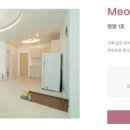 멍멍아 여기어때 네이버블로그