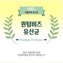 퀀텀비즈