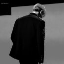 등짝 Daum카페