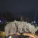 앞산387