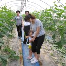 진악산농장 이미지