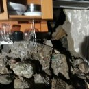 초향경로당 이미지