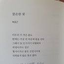 불온한 꽃 / 복효근 이미지