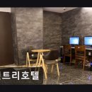 선트리 호텔 네이버블로그