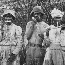 영국2농장 이미지