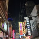 엑스포로터리 | 오사카 엑스포 진짜 볼만할까? 솔직 후기 남깁니다