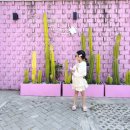 아이랑 치앙마이 :: 트리바나 클럽 치앙마이 슈페리어 더블룸(발코니) 창푸악 숙소 싼티탐 조식후기