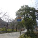 부흥정