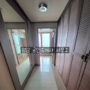 은파코아루 이미지