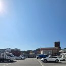 장도낙지 | [전남/보성] &#34;장도웰빙꼬막정식&#34; 보성 현지인 맛집! 꼬막이 살아있는 보성 찐맛집 방문후기