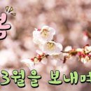 꽃들도