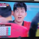마리아님의 조국 미국과 대한민국.. 모두 카타르월드컵 16강 진출!! 이미지