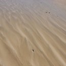 주영목장 이미지